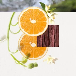Omizu For Her Eau De Parfum Spray><noscript><img width=