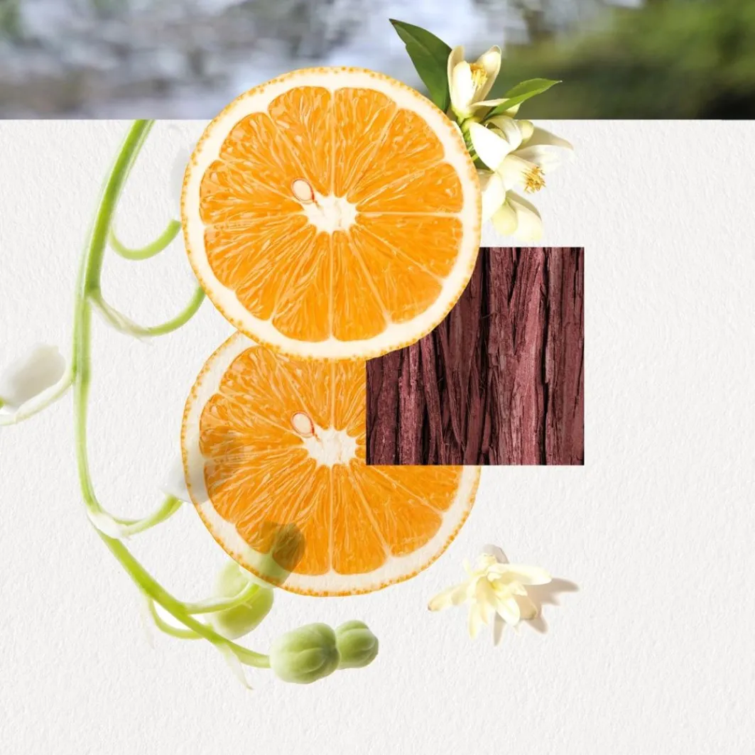 Omizu For Her Eau De Parfum Spray>Annayake Best