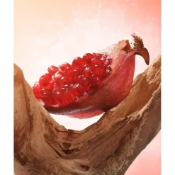 Omnia Coral><noscript><img width=