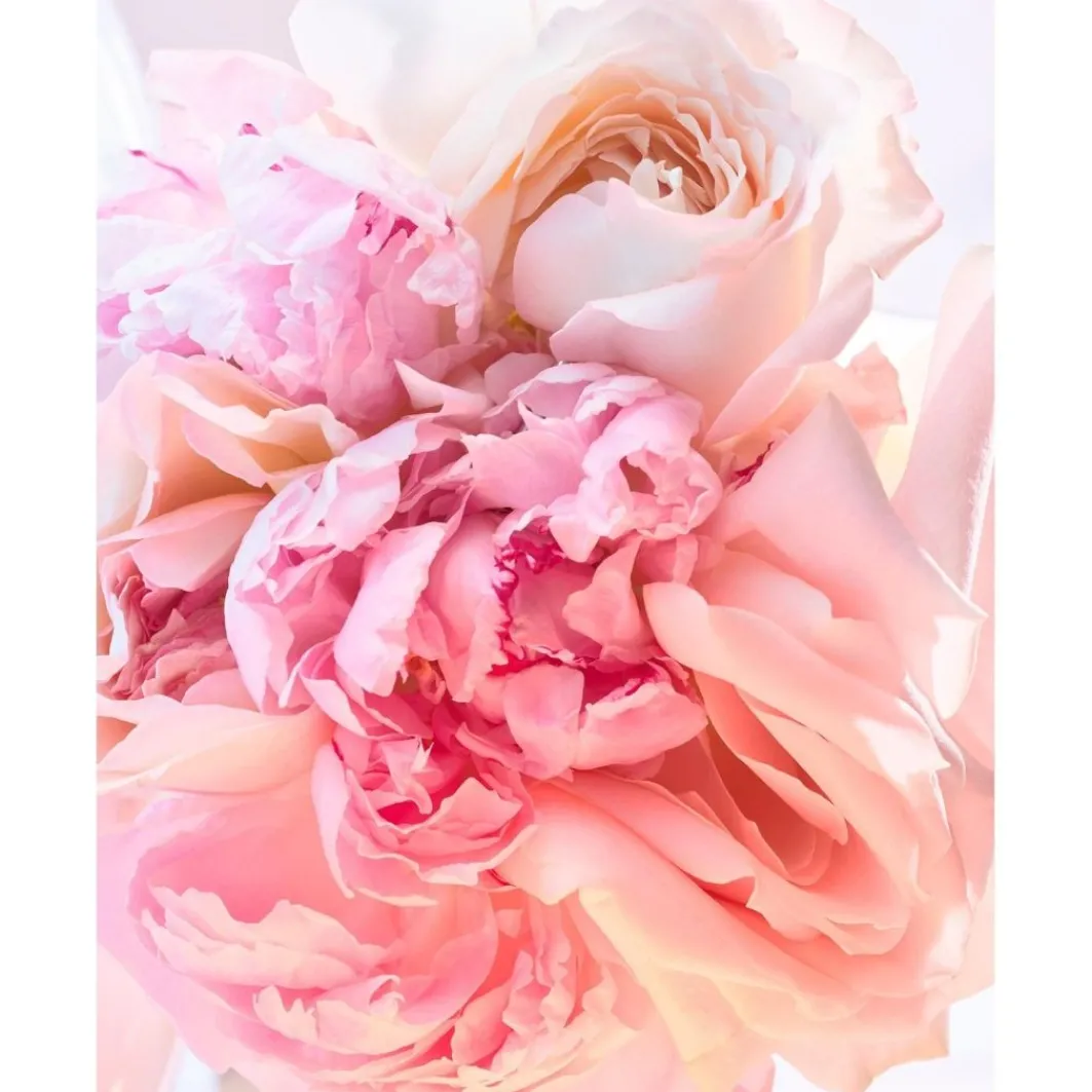 Rose Goldea Rose Goldea Blossom Delight Eau De Toilette Spray>Bulgari Store