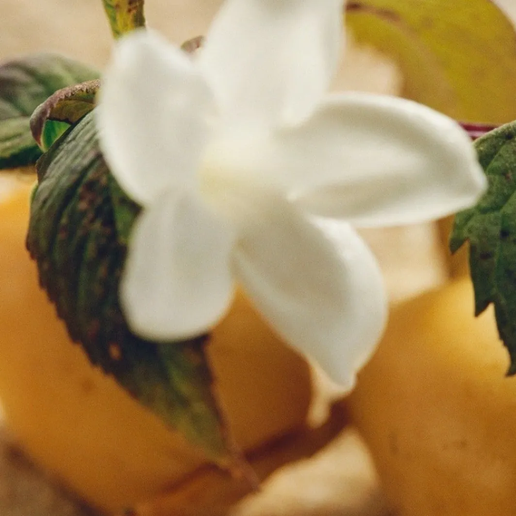 Chloe Nomade Jasmin Naturel Intense>Chloé Online