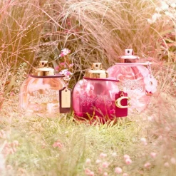 Wild Rose Eau De Parfum><noscript><img width=