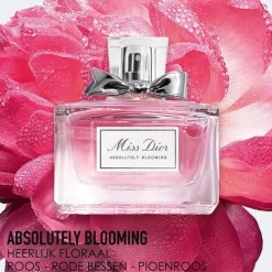 Miss Miss Absolutely Blooming><noscript><img width=