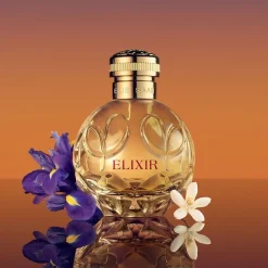 Elixir Elixir><noscript><img width=