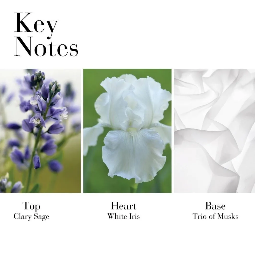White Tea White Tea Eau De Toilette Spray>Elizabeth Arden Cheap