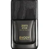 Evody Fragranze Maschili^