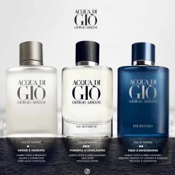 Giorgio Armani Fragranze Maschili^ Acqua Di Gio Acqua Di Gio