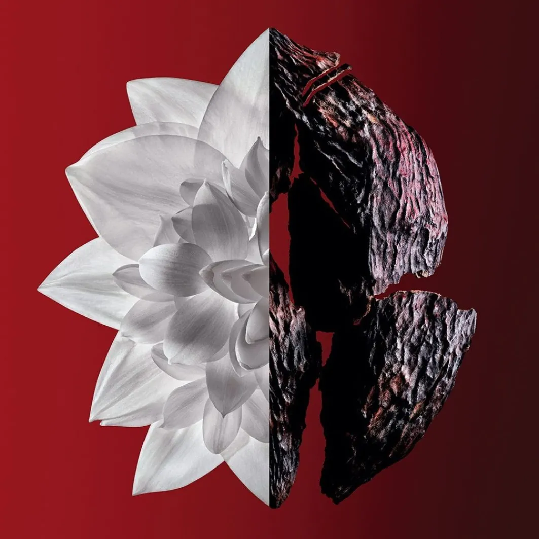 L'Interdit Rouge Ultime>Givenchy Sale