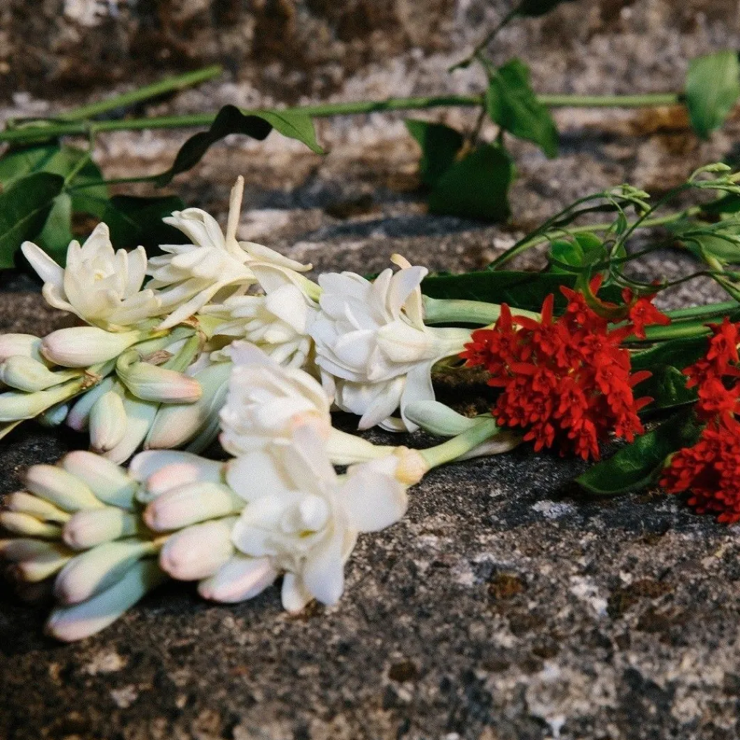 Bloom Bloom>Gucci Cheap