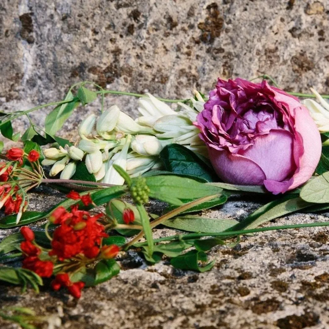Bloom Bloom Ambrosia Di Fiori>Gucci Outlet