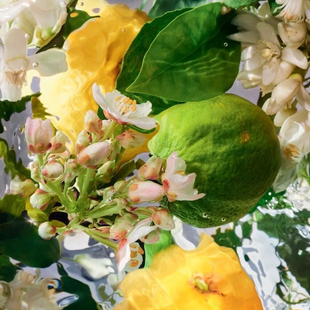 Aqua Allegoria Bergamote Calabria>Guerlain Discount
