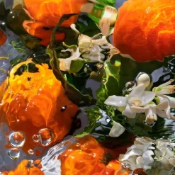 Aqua Allegoria Mandarine Basilic><noscript><img width=