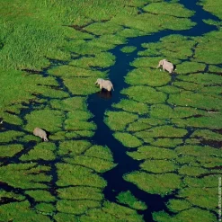 Aqua Allegoria Pampelune><noscript><img width=