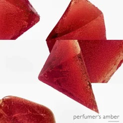 Hermes Eau Des Merveilles L'Ambre Des Merveilles><noscript><img width=