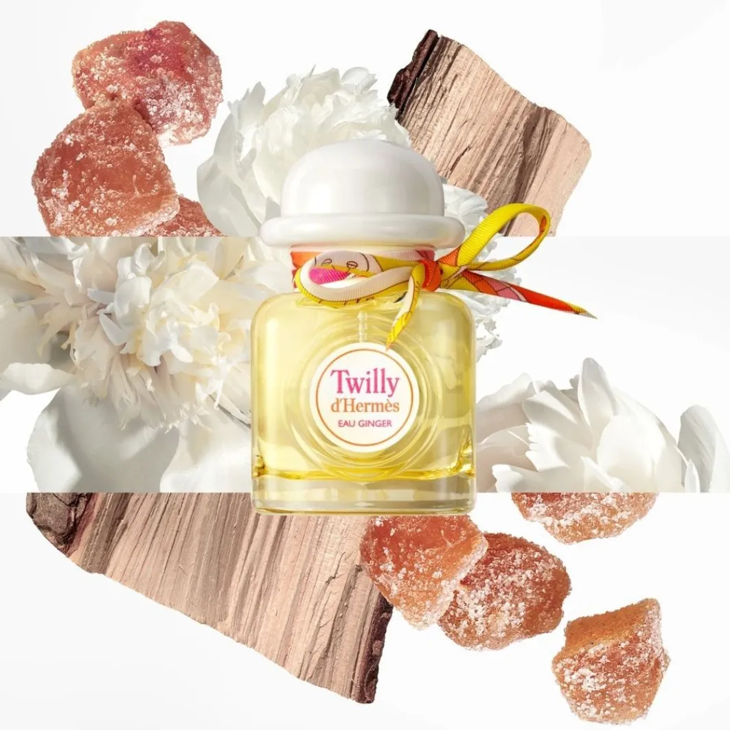 Hermes Twilly D'Hermes Twilly Eau Ginger>HERMÈS Best Sale