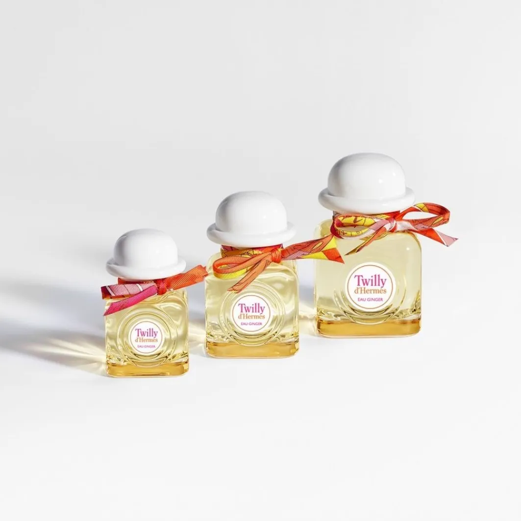 Hermes Twilly D'Hermes Twilly Eau Ginger>HERMÈS Best Sale