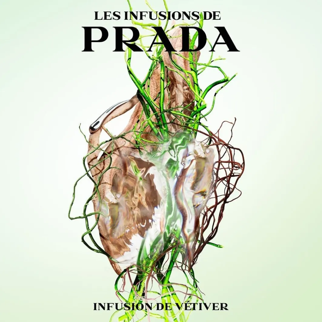 Les Infusion>Prada Online