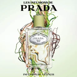 Les Infusion><noscript><img width=