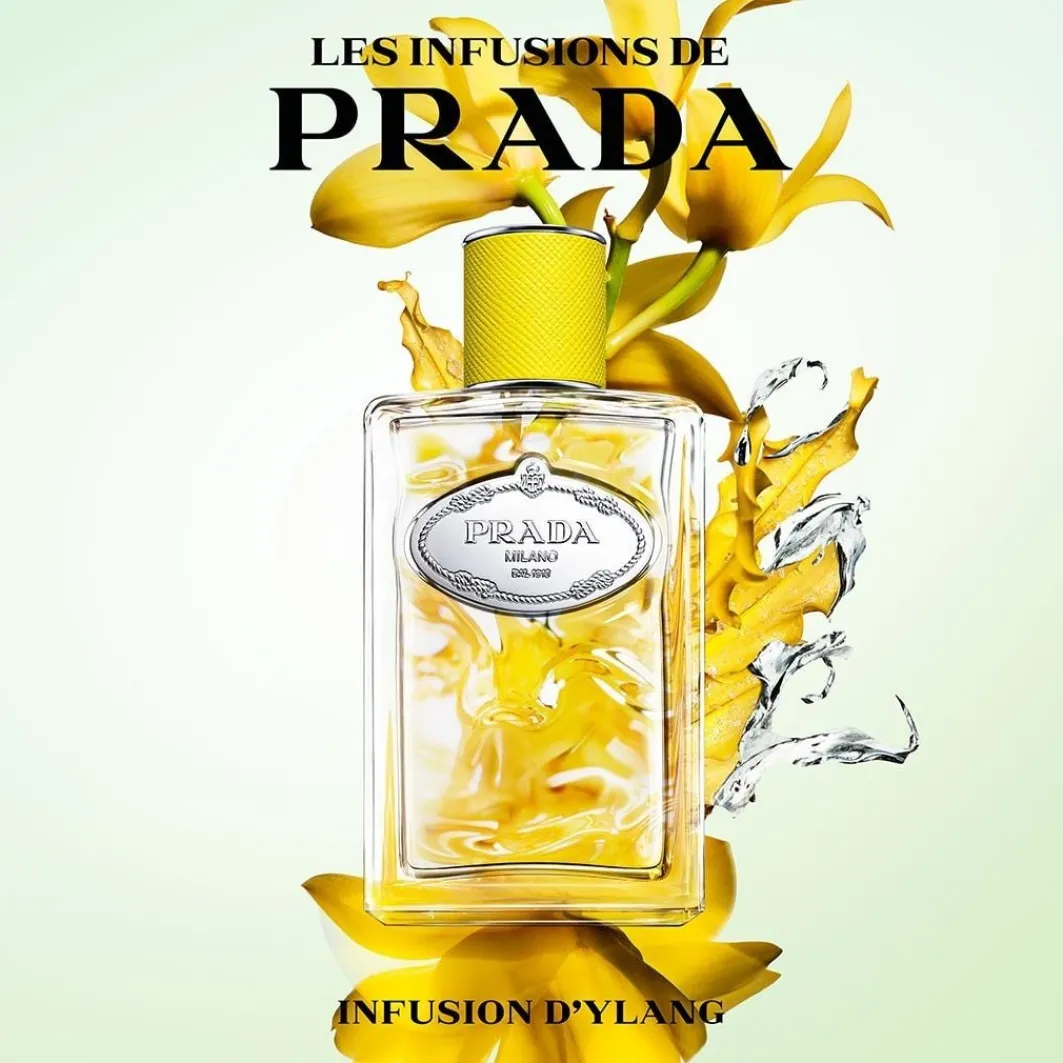 Les Infusion D'Ylang>Prada Outlet