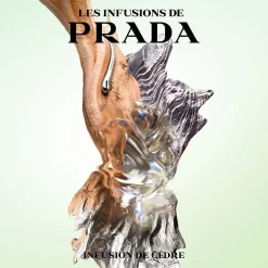 Les Infusion Les Infusions Iris Cedre><noscript><img width=