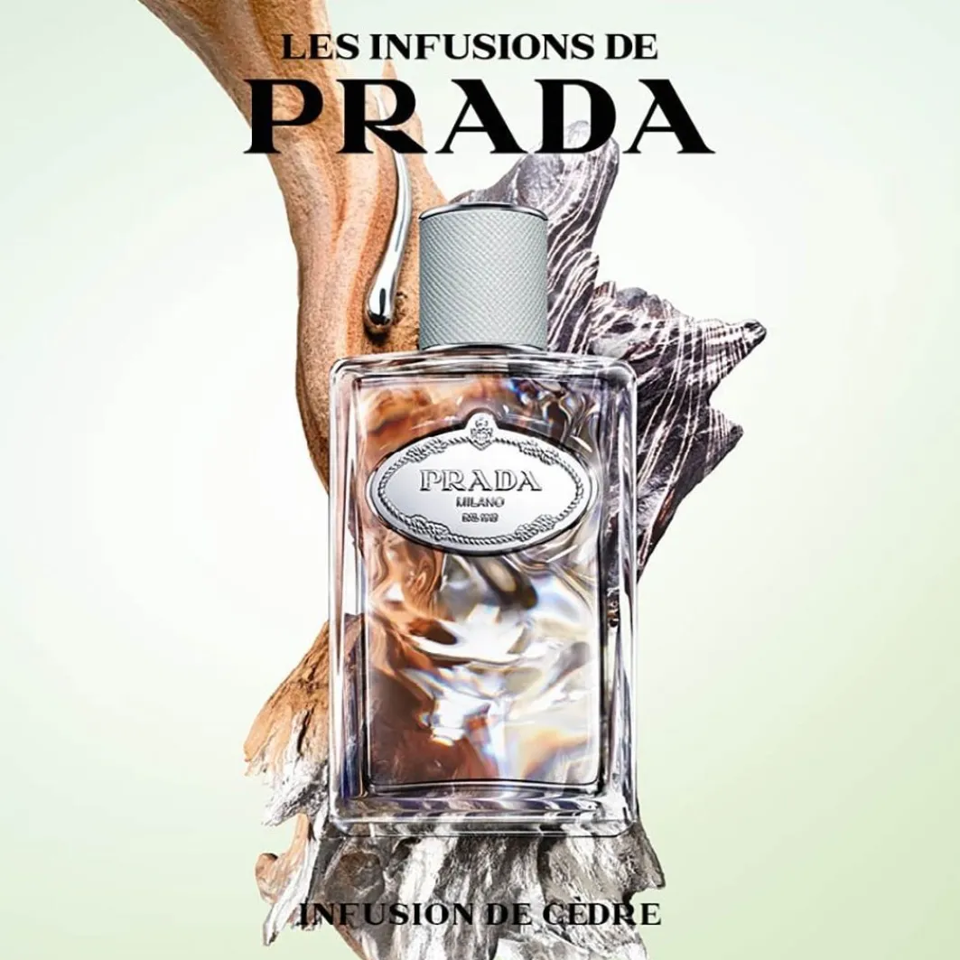 Les Infusion Les Infusions Iris Cedre>Prada Outlet