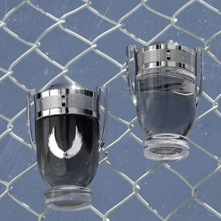 Rabanne Fragranze Maschili^ Invictus Invictus Platinum