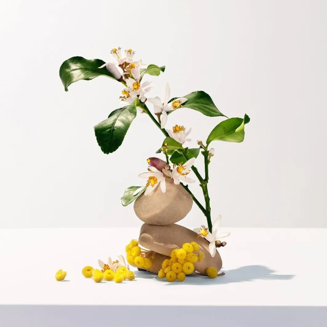 Neroli - Acqua Profumata Di Benessere>Roger & Gallet Online