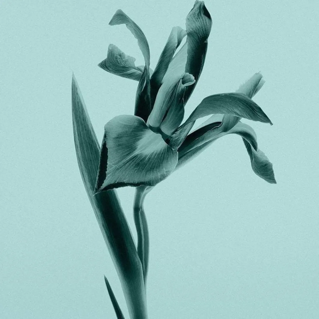 Tiffany Eau De Parfum>Tiffany & Co. Shop