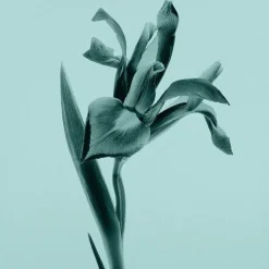 Tiffany Shower Gel>Tiffany & Co. New