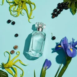 Tiffany Tiffany Sheer><noscript><img width=