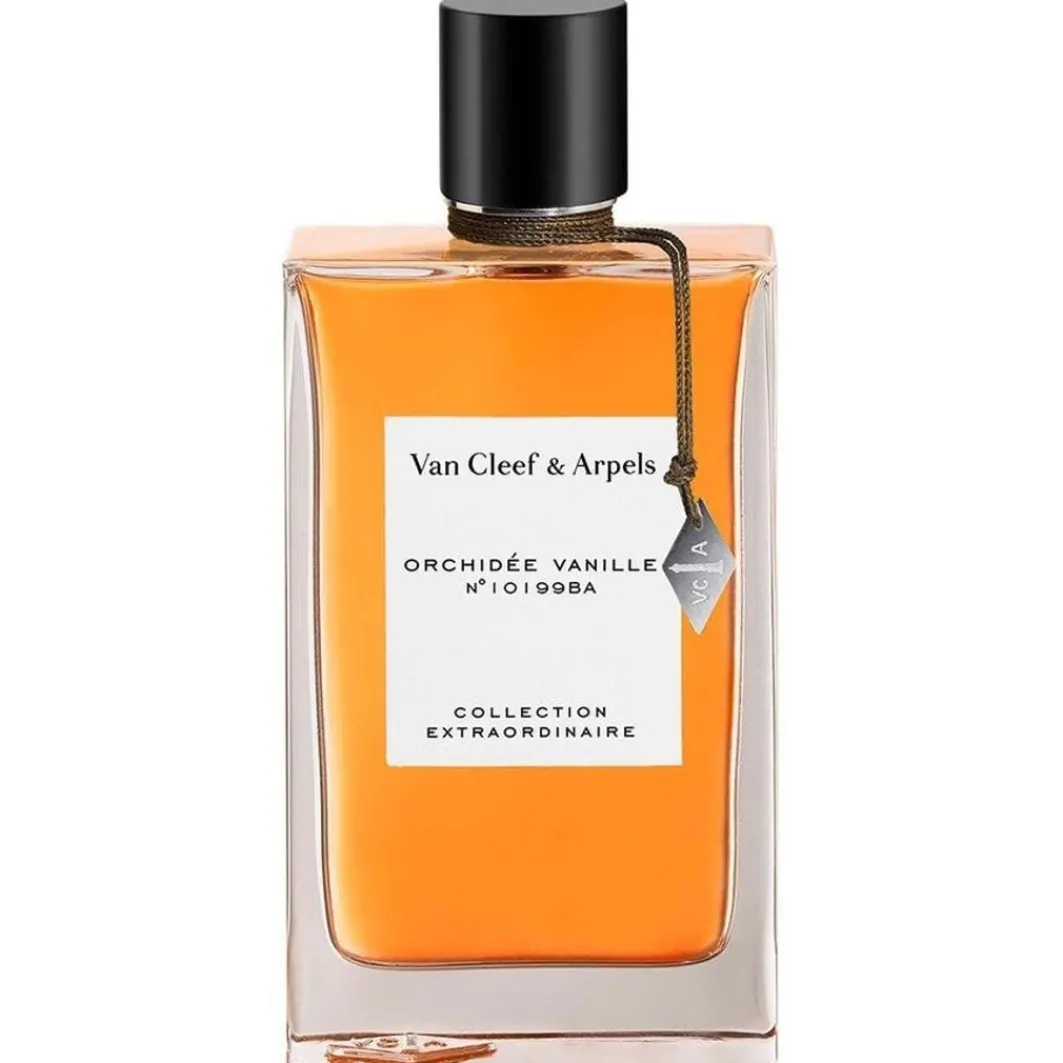 Collection Extraordinaire Collection Extraordinaire Orchidee Vanille>Van Cleef & Arpels Hot