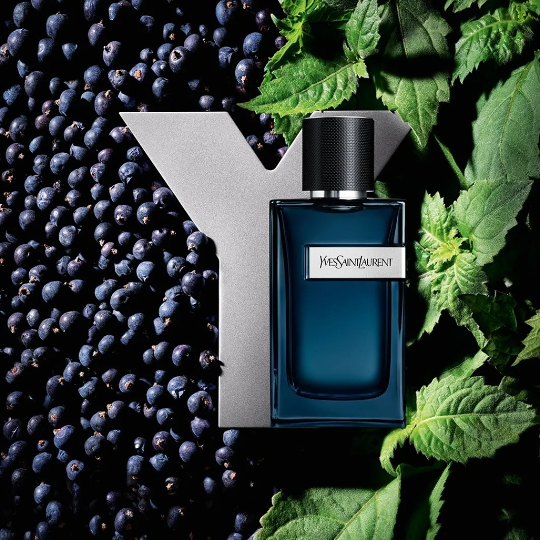 Yves Saint Laurent Fragranze Maschili^ Y Intense
